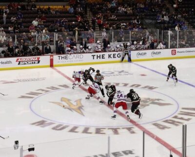 Los Resultados De La Selección De Arena De Los Coyotes Podrían Determinar El Destino De La Nhl En Arizona.