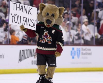 La Nhl Aprueba La Venta De 1.200 Millones De Coyotes A Utah Ryan Y Ashley Smith