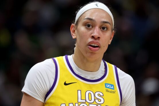 Hamby Argumentó Que La Wnba No Era Su Empleador.